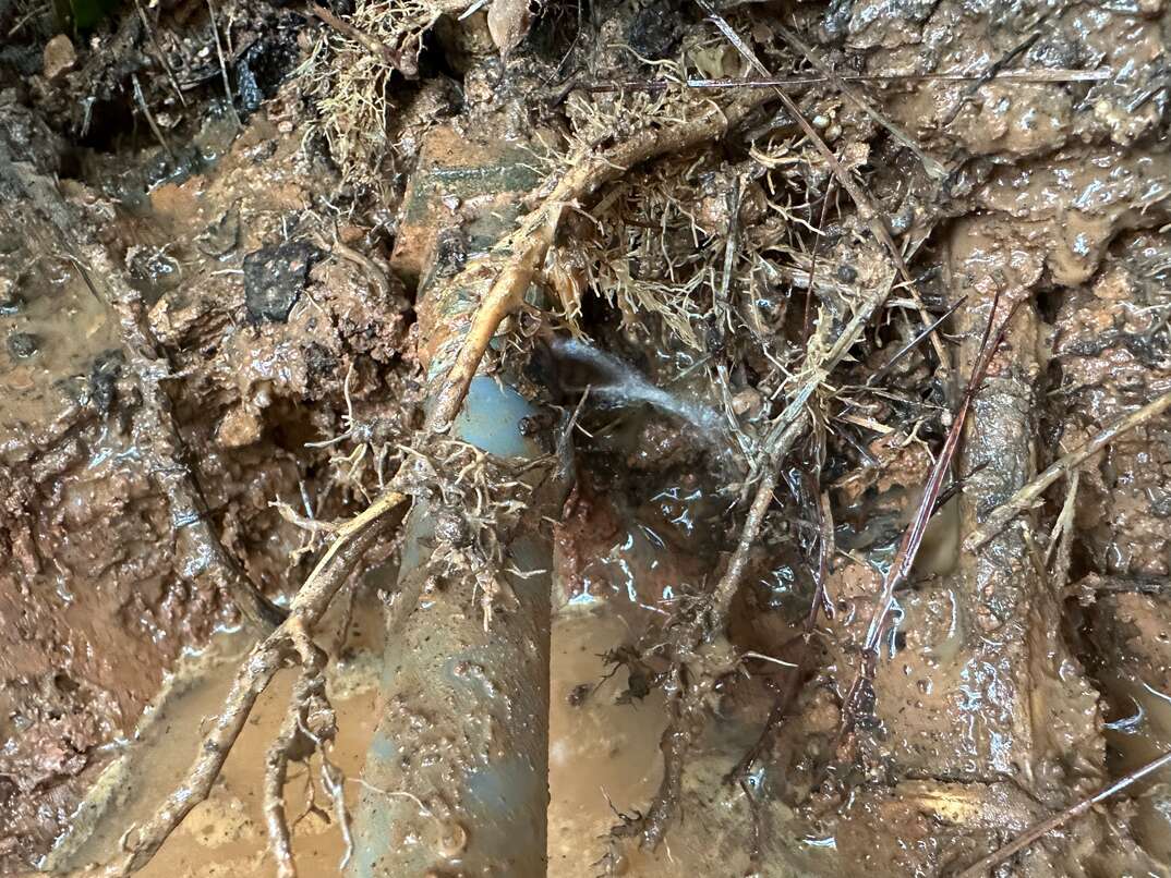Tennessee Homeowner Avoids High Water Bill with ServLine
